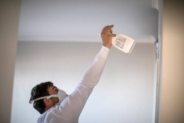 Best Residential Mold Removal  in Woodburn, OR