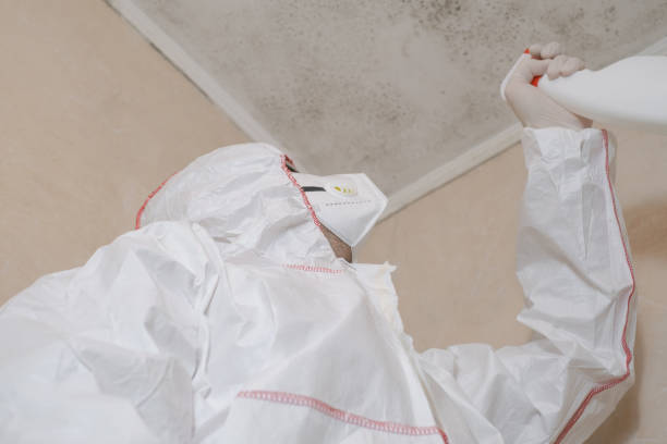 Best Crawl Space Mold Removal  in Woodburn, OR